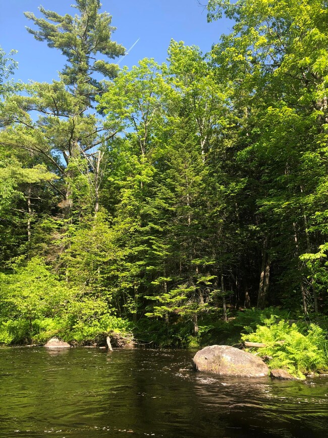 WillrodtRiver2 (2)