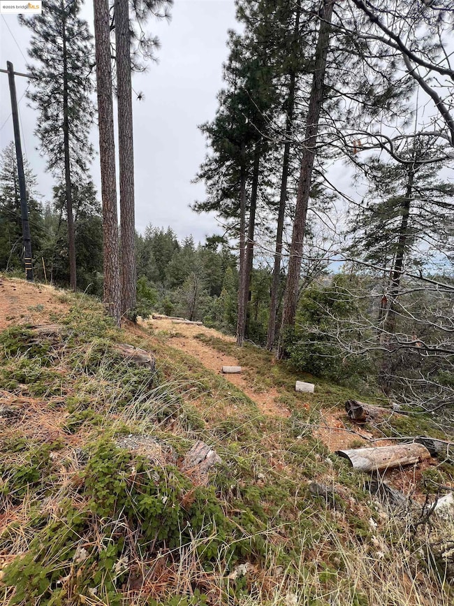 19262 Tanglewood Trail, Twain Harte, CA 95383 - photo 3