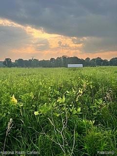 00 W Vogt Rd, Conway Township, MI 48836 - photo 4