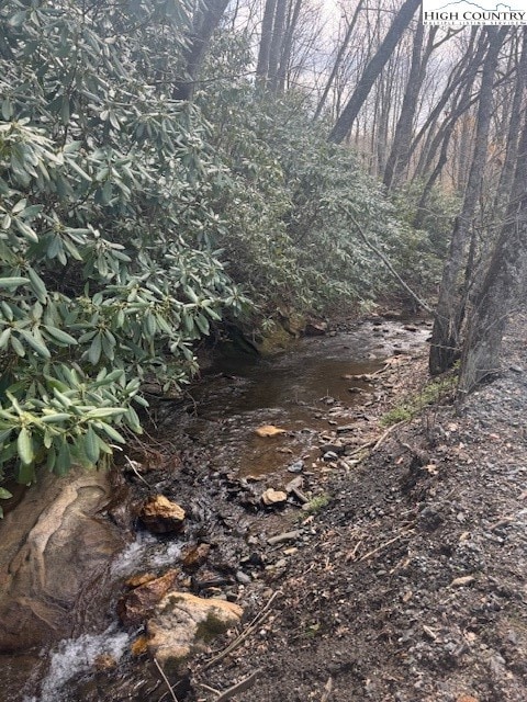 TBD Bald Mountain Rd, West Jefferson, NC 28694 - photo 5