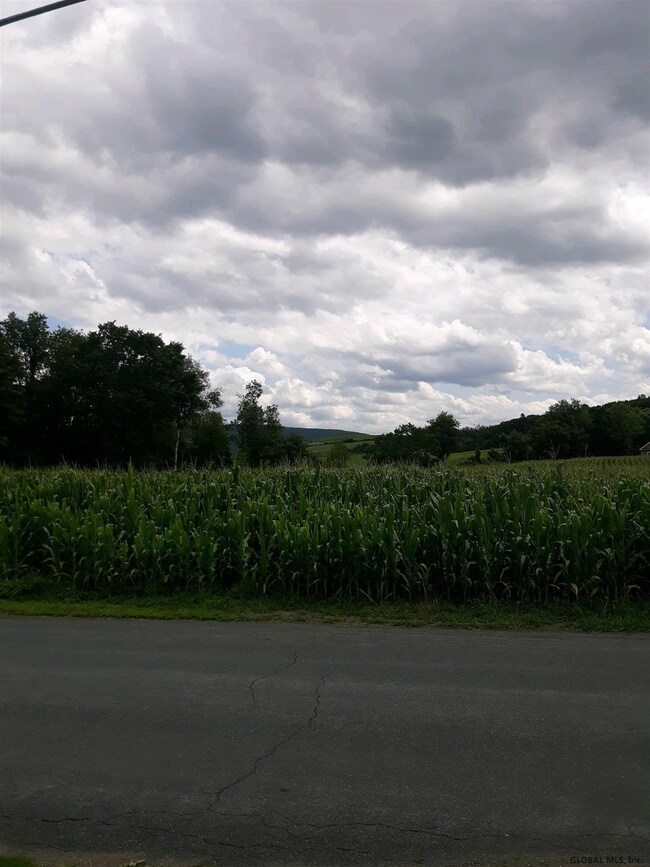 20 Bott Ln, Troy, NY 12180 - photo 4