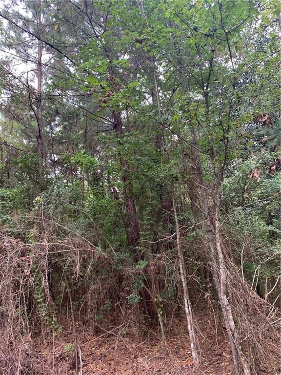 29272 Old Columbia Rd, Franklinton, LA 70438 - photo 5