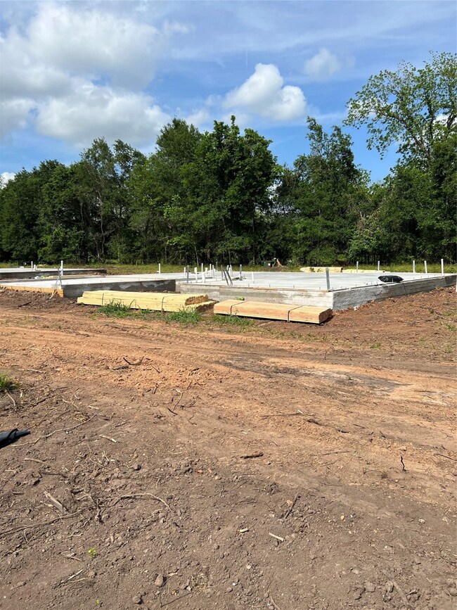 2613 County Road 769c, Brazoria, TX 77422 - photo 6