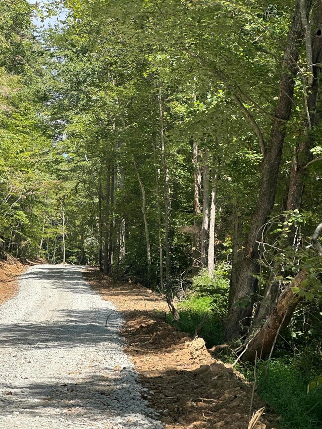 424- TRACT 4 Kentucky 577, Fogertown, KY 40962 - photo 7