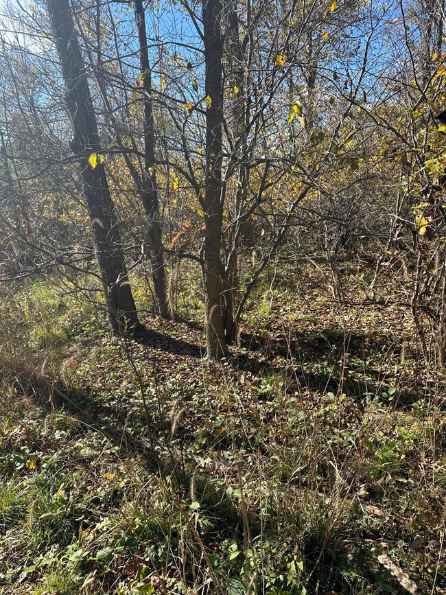 E B Ave Vacant Land (1)