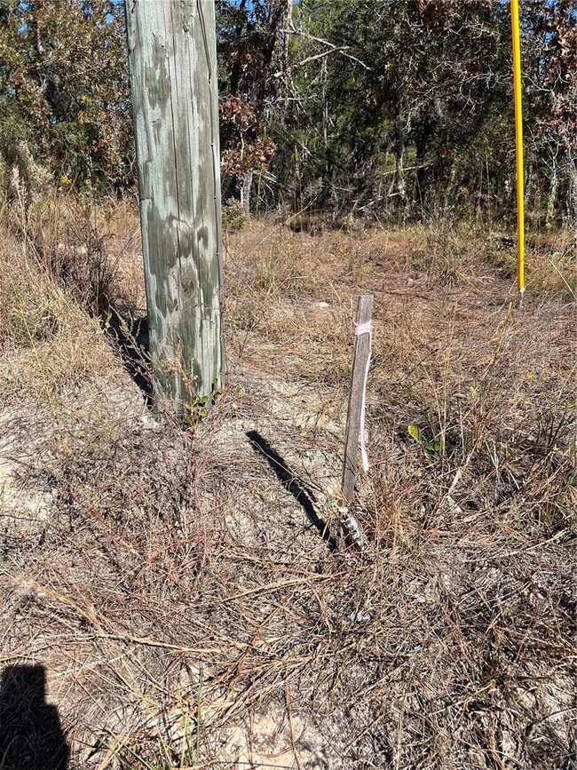 0 121 Sw Terrace unit MFRO6361048, Ocala, FL 34481 - photo 5