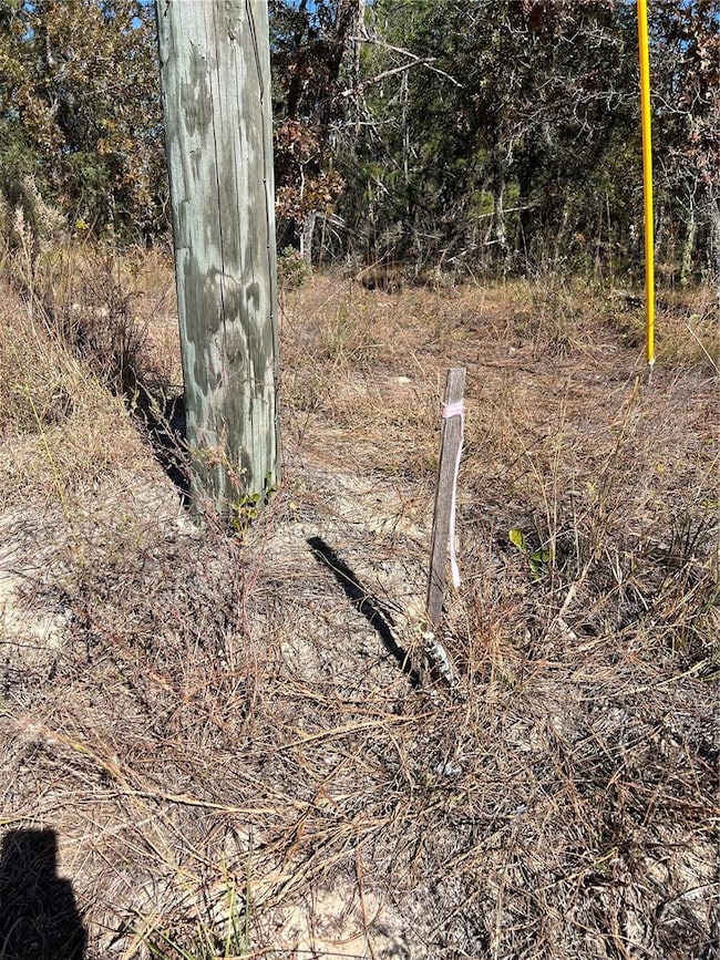 0 SW 121 Terrace Rd unit MFRO6361048, Dunnellon, FL 34432 - photo 5