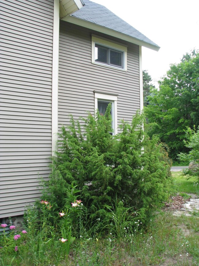 10929 Townline Rd, Charlevoix, MI 49720 - photo 4