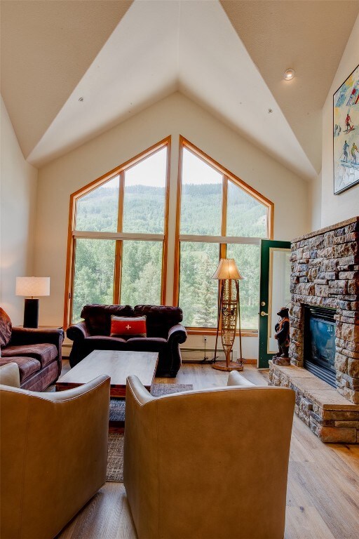 Living room with lofted ceiling, healthy amount of