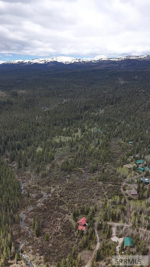 TBD S Fox Cir, Island Park, ID 83429 - photo 7