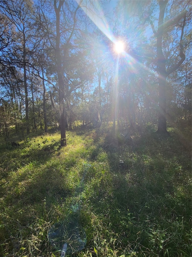 592 Cabana Trail, Angleton, TX 77515 - photo 3