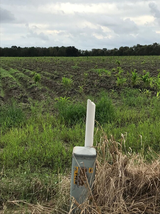 0 Fm 2977 unit 90030807, Fairchilds, TX 77469 - photo 3