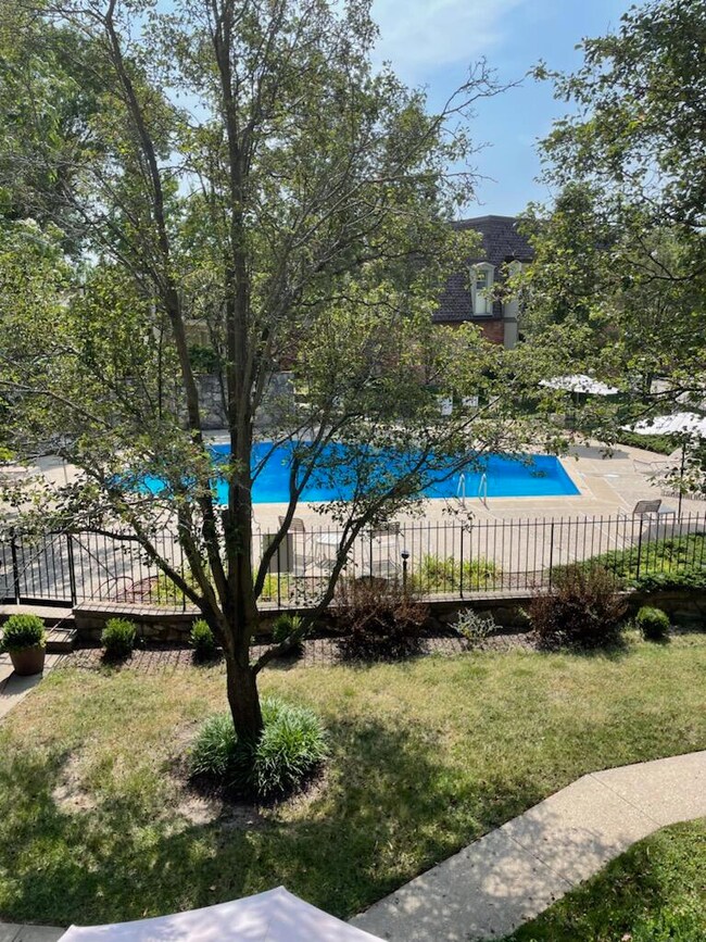 Community pool 1