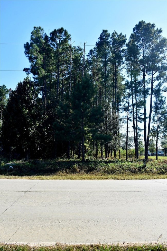 900 County Road 3545, Cleveland, TX 77327 - photo 3