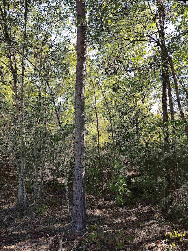 TBD Sam Koon Rd, Little Mountain, SC 29075 - photo 2