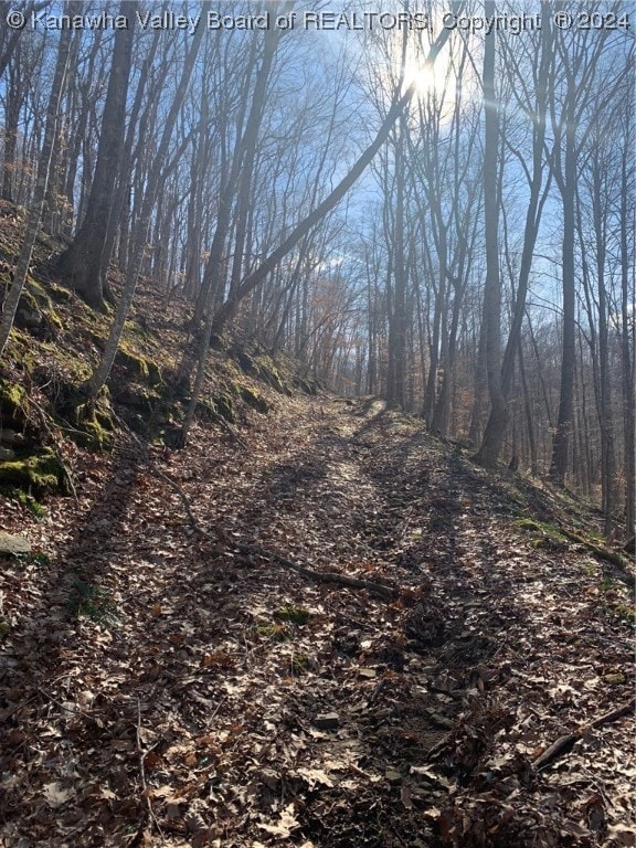 TBD Buckeye Creek Rd, Sutton, WV 26601 - photo 2