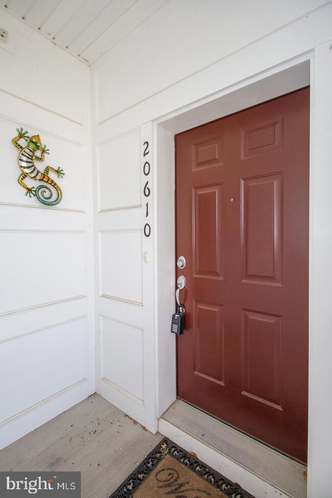 20610 Maitland Terrace, Ashburn, VA 20147 - photo 4