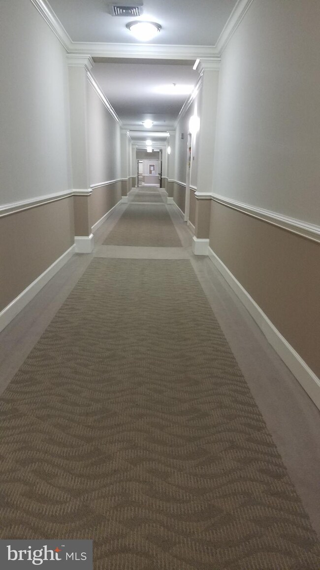 3830 Lightfoot St unit 133, Chantilly, VA 20151 - photo 2