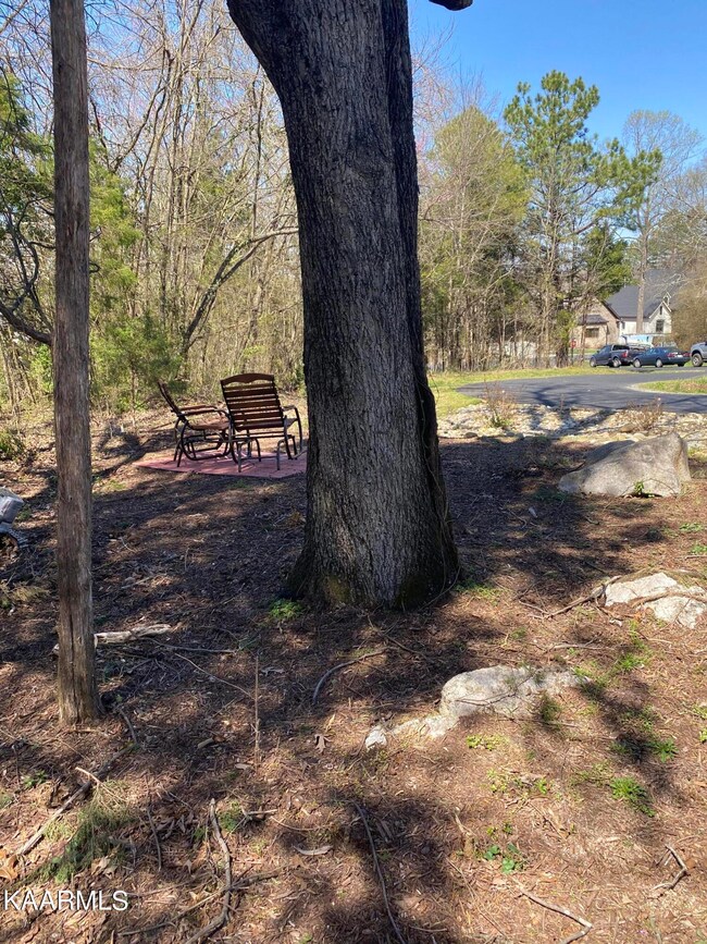 IMG-1762