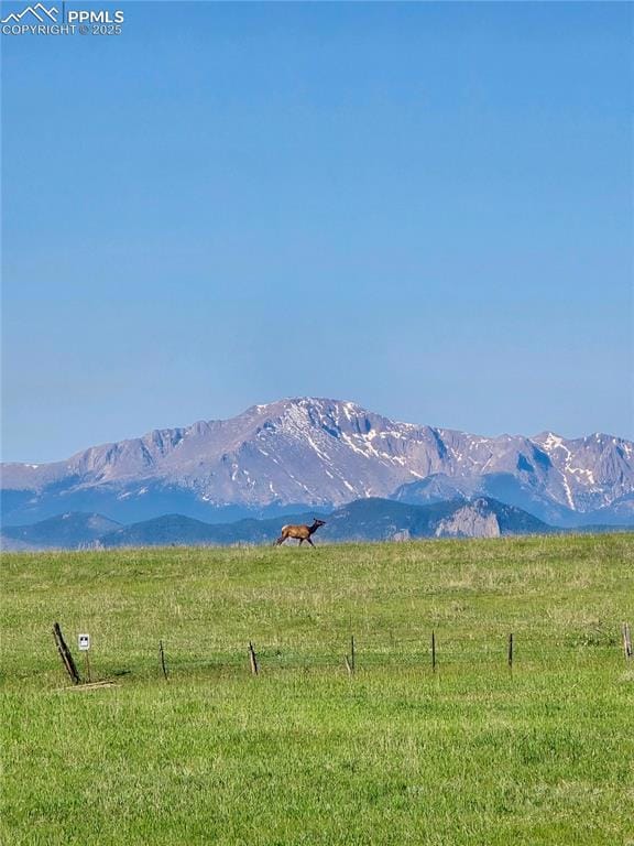 15125 Spring Valley Rd, Larkspur, CO 80118 - photo 6