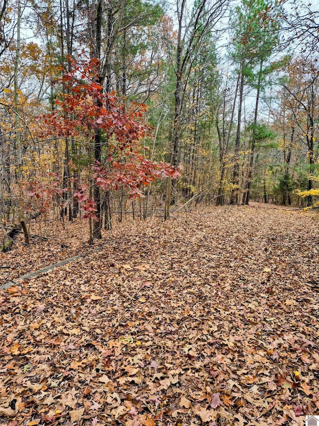 0 Bear Run, Benton, KY 42025 - photo 2