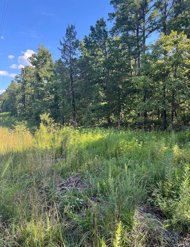 Tract 4 SE 1083 Road Ave, Red Oak, OK 74563 - photo 6