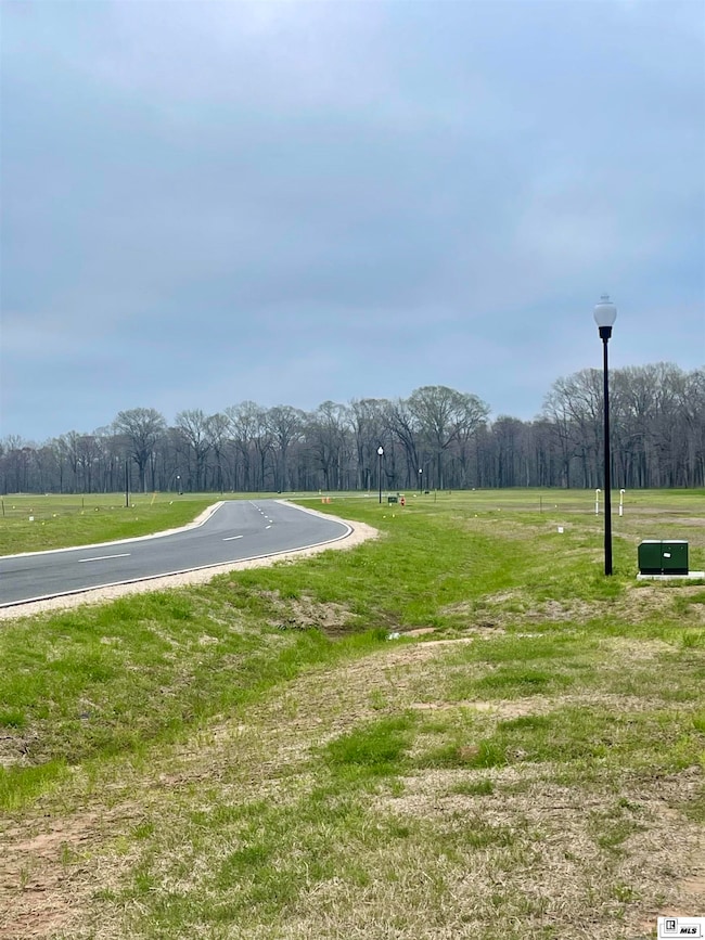 9125 Desiard Trace, Sterlington, LA 71280 - photo 5