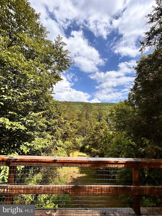 174 Mount Laurel Cir, Lost City, WV 26810 - photo 4