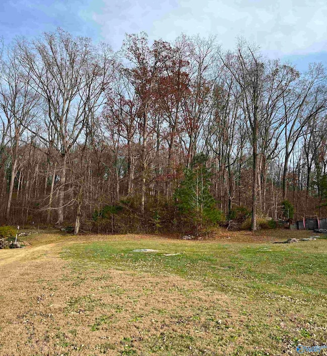 105 Amber Way, Priceville, AL 35603 - photo 6