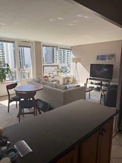 1400 N State Pkwy unit 8E, Chicago, IL 60610 - photo 7