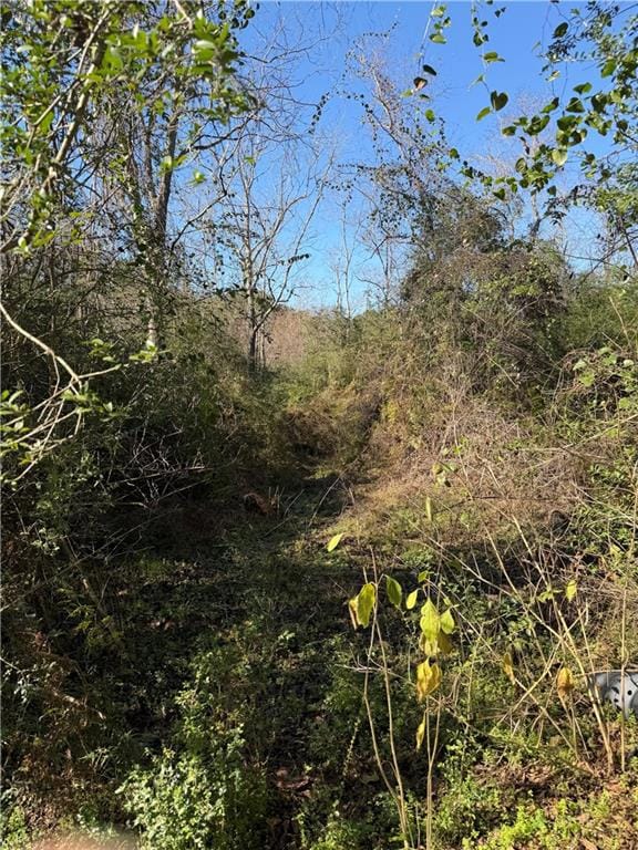 0 Honeysuckle Rd unit 2534650, Bush, LA 70431 - photo 2