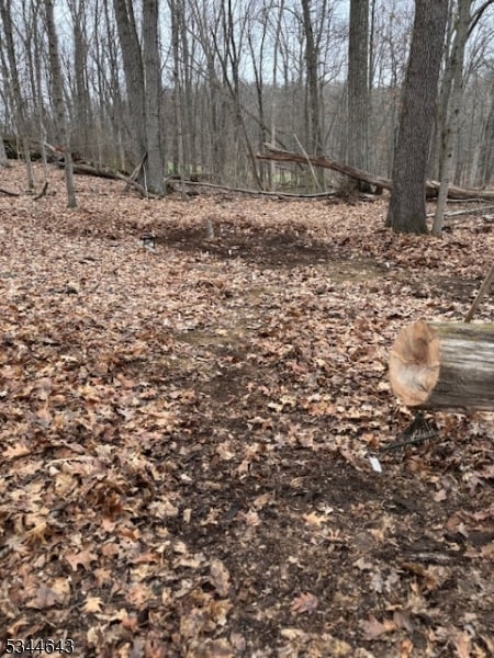 3 Kimble Ln, Sparta, NJ 07871 - photo 3