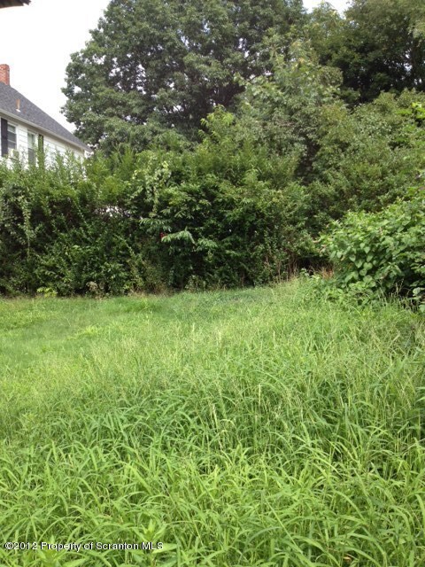 619-621 Larch St, Dunmore, PA 18509 - photo 3