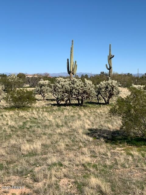 Land with saguaro pic 1