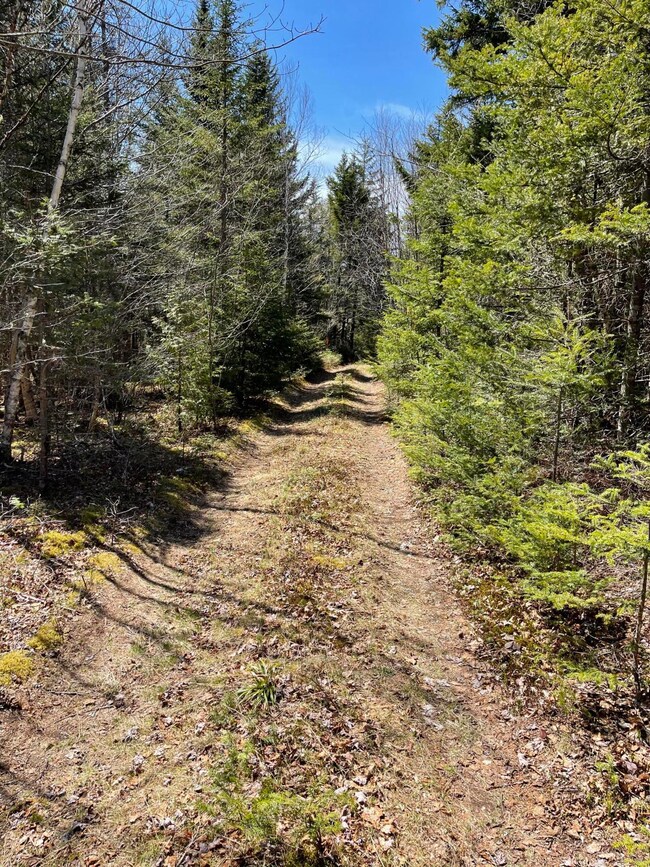 M6 L16 Us Route 1, Whiting, ME 04691 - photo 6