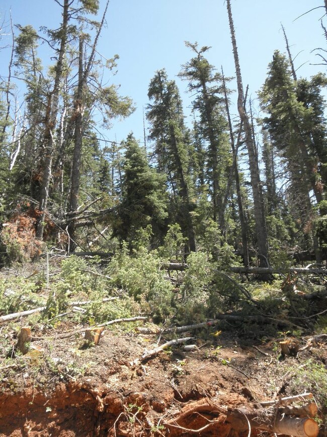 905 W Twisted Trail unit ZVME Un E Lot 113, Duck Creek Village, UT 84762 - photo 5