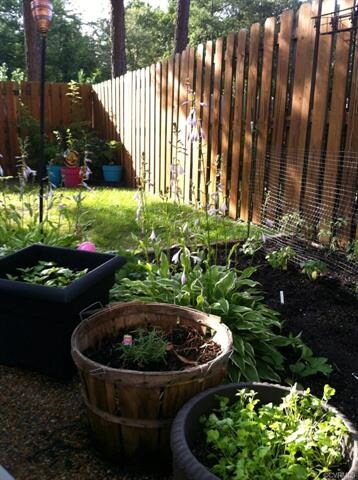 Photo taken previously when yard was in full bloom