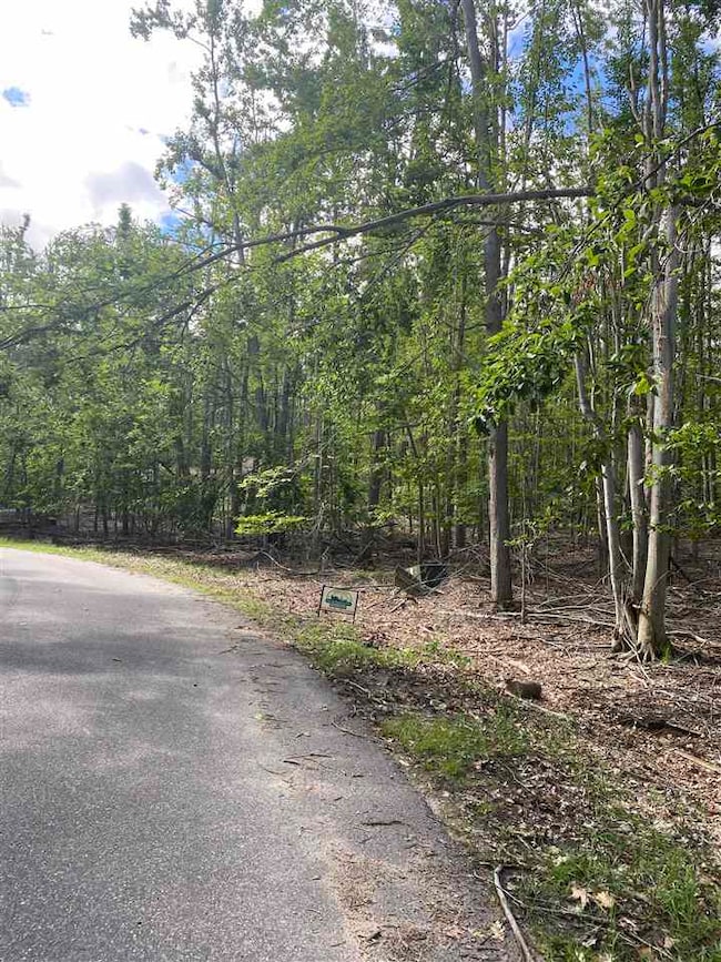 Lots 156 & 157 Humming Bird Ct unit 156 & 157, Otsego Lake Township, MI 49735 - photo 7