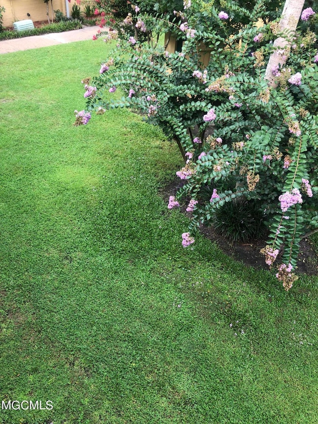 D2649C43-CC37-458B-AB6A-979EB2CF493D