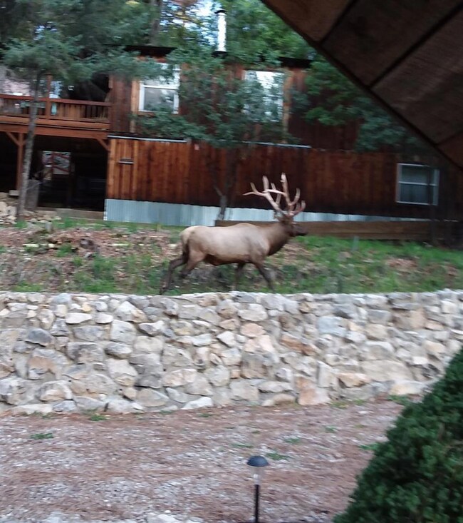 58 Big Bend Loop, Cloudcroft, NM 88317 - photo 5