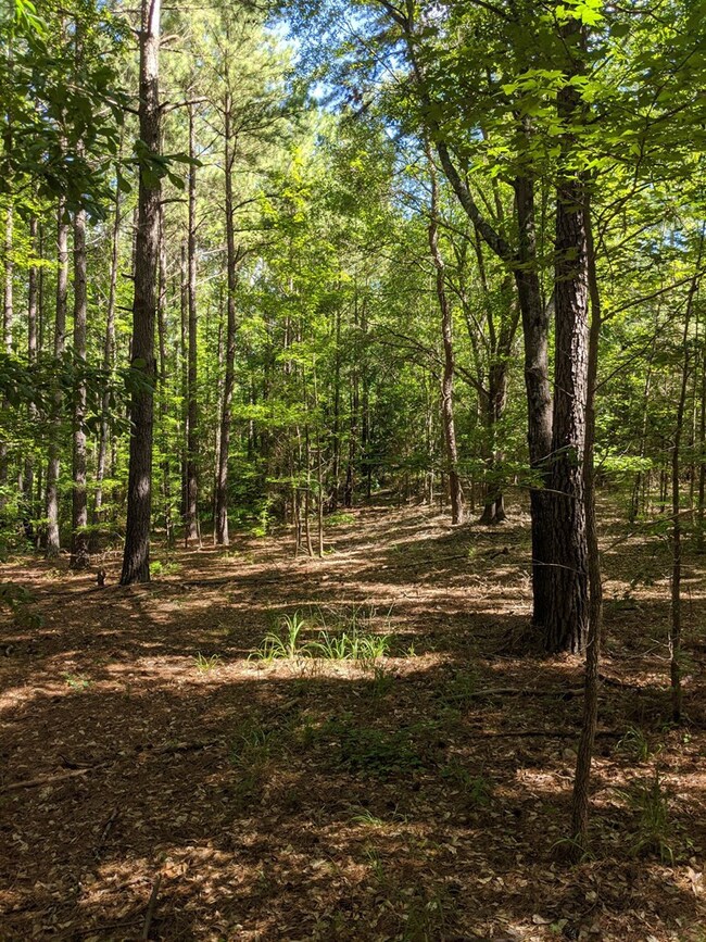 5266 White Oak Rd, Appling, GA 30802 - photo 3