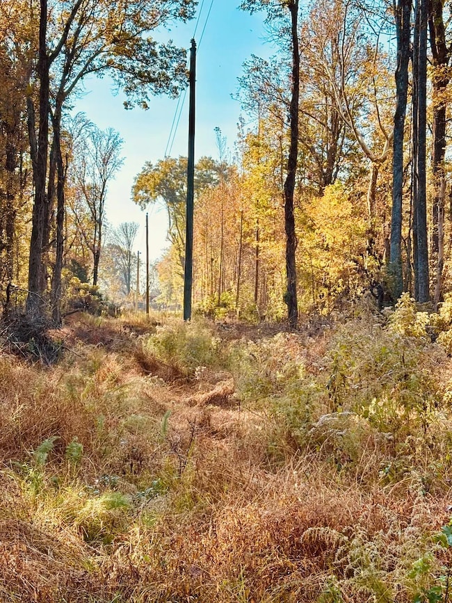 0 Mayer Rd, Bentonia, MS 39040 - photo 6