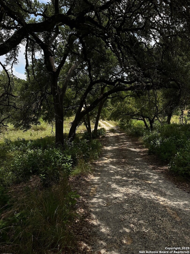 3520 & 3524 Comal Springs, Canyon Lake, TX 78133 - photo 2