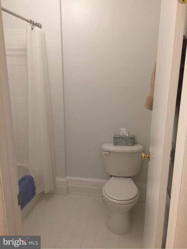 7 S Madison St unit 1, Middleburg, VA 20117 - photo 7