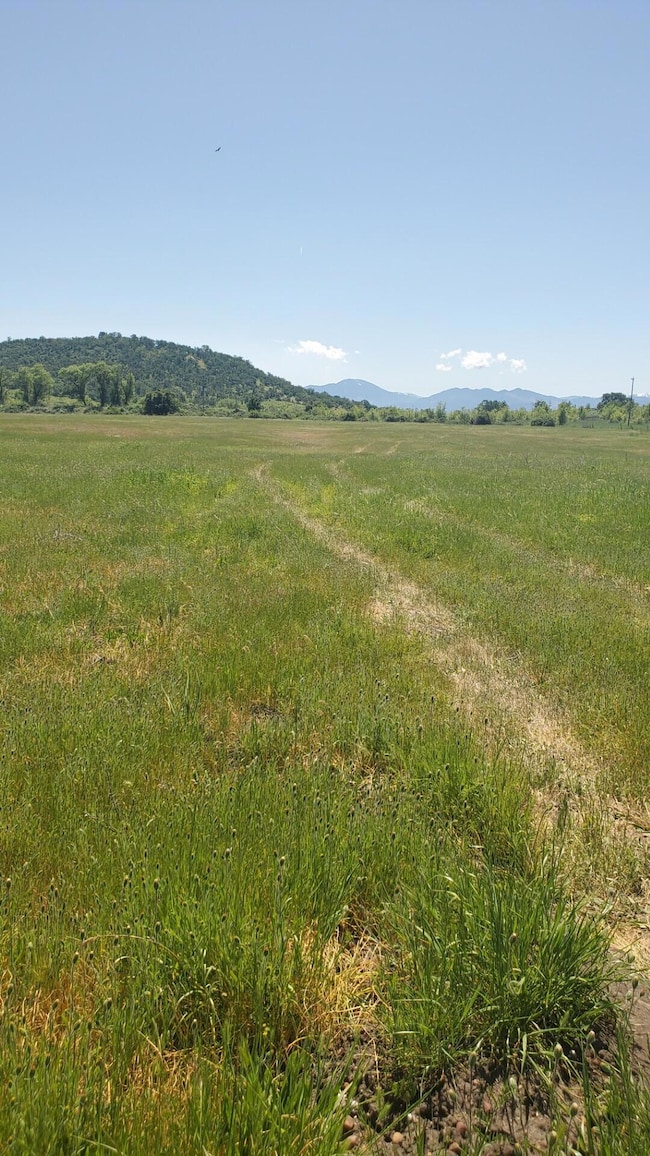 1816 E Vilas Rd, Medford, OR 97502 - photo 3