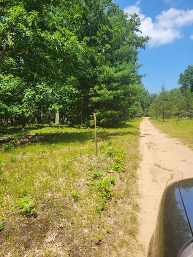 0 Star Acres Dr unit 25034744, Baldwin, MI 49304 - photo 7