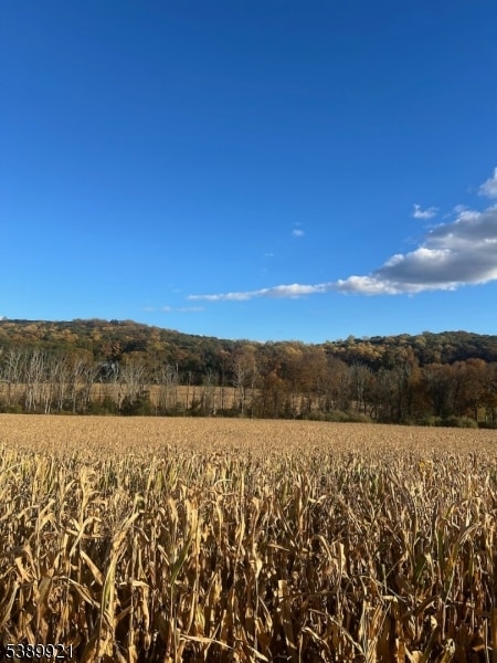 222 E Fox Chase Rd, Chester, NJ 07930 - photo 7