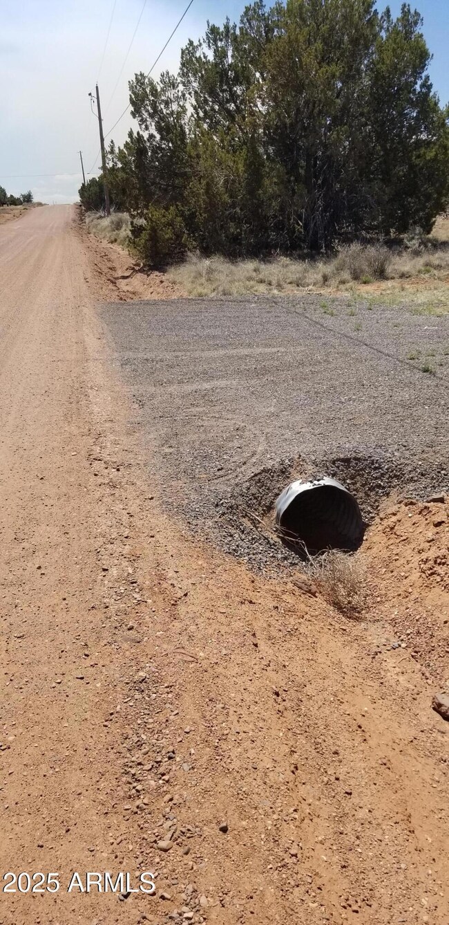 3908 culvert APS power pole