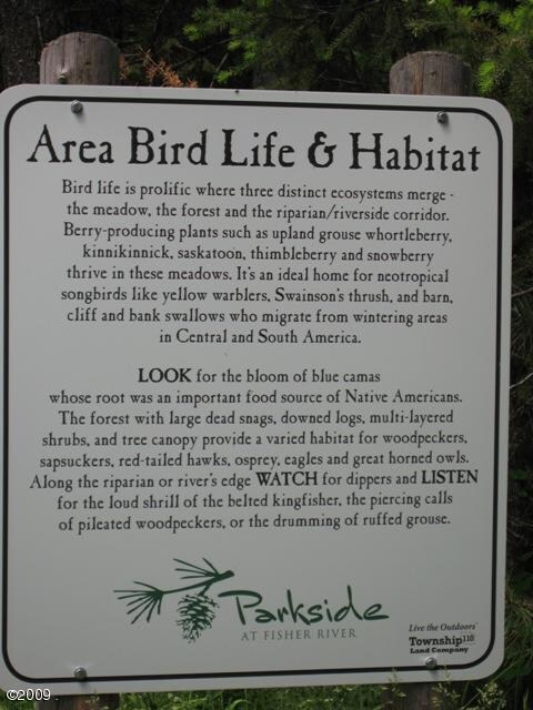 Lot 3 Parkside at Fisher River, Libby, MT 59923 - photo 4