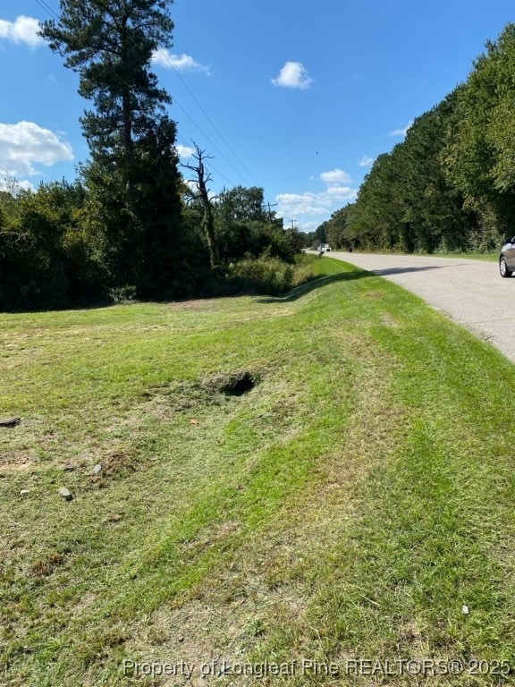 352 Mckay Dr, Spring Lake, NC 28390 - photo 5